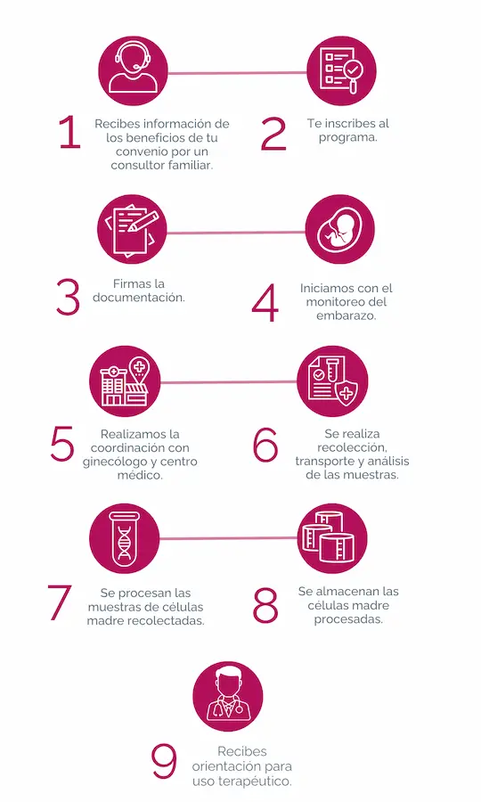 Proceso-PW-CM-Vertical