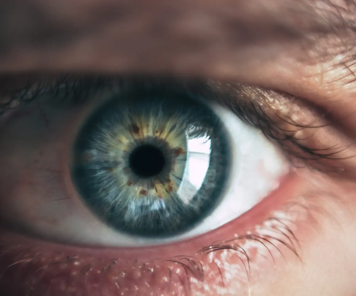 El ojo humano