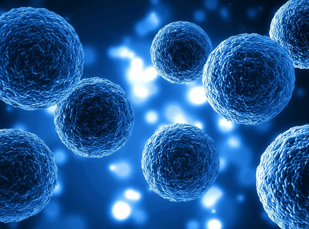 Células madre mesenquimales: Una esperanza real en la medicina regenerativa