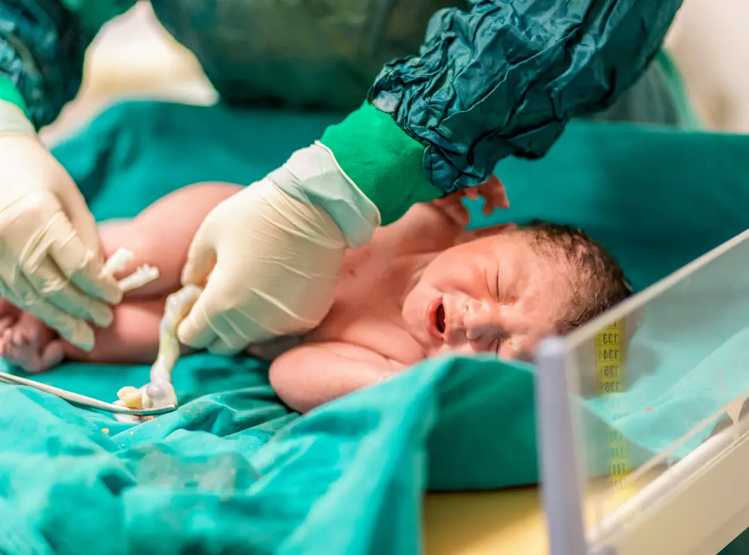 ¿Por qué trabajamos con MSC del cordón umbilical?