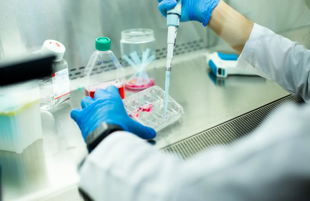 Laboratorio de celulas madre en colombia