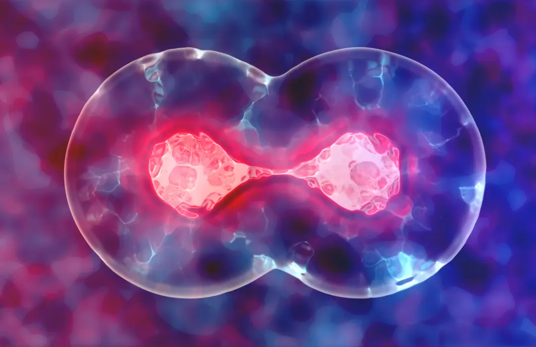 ¿Quién puede usar células madre almacenadas?