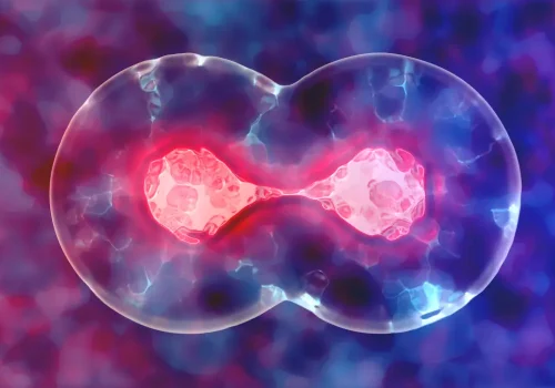 ¿Quién puede usar células madre almacenadas?