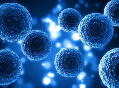 Células madre mesenquimales: Una esperanza real en la medicina regenerativa