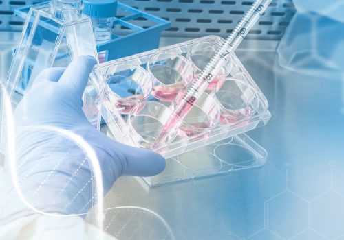 Medicina Regenerativa y aplicaciones terapéuticas