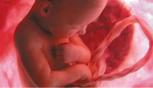 Xiao-An-y-el-milagro-de-las-celulas-madre