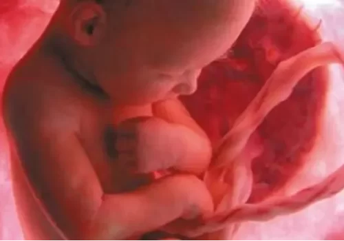 Xiao-An-y-el-milagro-de-las-celulas-madre Xiao-An-y-el-milagro-de-las-celulas-madre