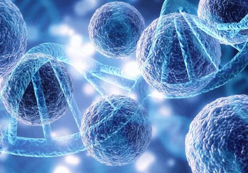 Insuficiencia renal: Células madre hematopeyicas mejoran la vida