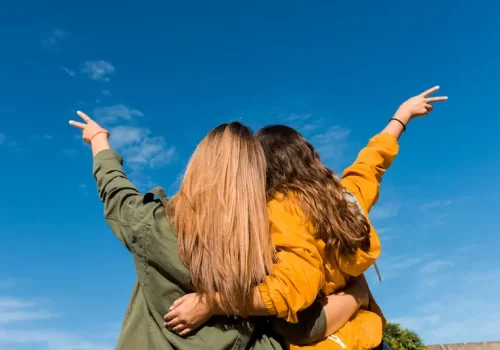 vista-posterior-dos-amigos-que-gesticulan-signo-victoria-contra-cielo-azul vista-posterior-dos-amigos-que-gesticulan-signo-victoria-contra-cielo-azul